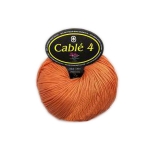 Cable 4 Color 55