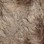 Scarf - Γούνα & Fur Χρώμα 1257